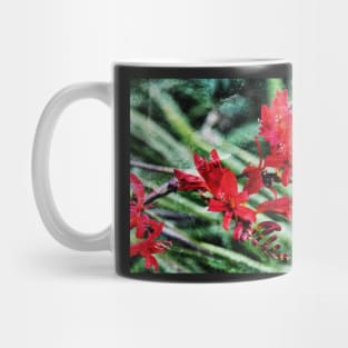 Montbretia Mug